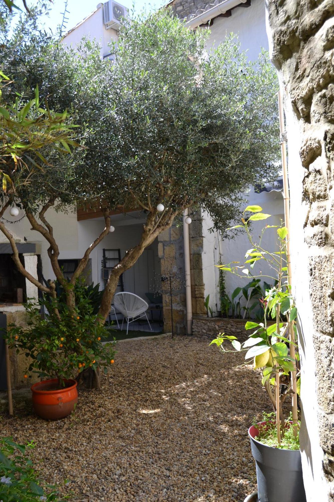 La Cachette Bed & Breakfast Aigues-Vives  Exterior foto